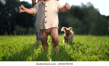 baby takes first steps in the park. happy family kid dream concept. dad teaches his son to walk takes first steps in the park on green lifestyle grass. baby son taking first steps - Powered by Shutterstock