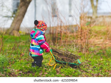 Baby Toddler Walking With Barrow Wheel Trolley In Garden. Child Helping To Pick Fallen Twigs On Backyard. Small Kid Playing With Pushing Buggy On Countryside.