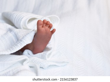 Baby Toes Spread On Clean Linen