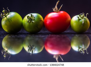 Baby Tomates - The Odd One Out