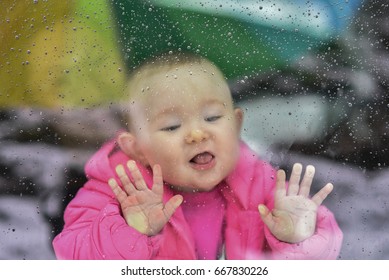 Baby Trying To Lick Rain Drops On The Window's Glass Outside