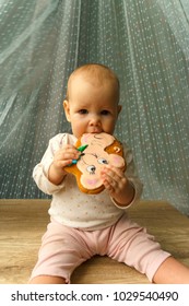 The Baby Is Trying New Food, A Gingerbread In The Form Of A Mouse And He Does Not Like