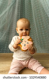 The Baby Is Trying New Food, A Gingerbread 