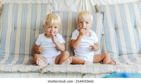 Baby twins on the couch eating cookies. Cute babies in white baby body hold a cake in their hand on the stripe sofa. Light hair, blue eyes, toddler babies, peaceful childhood