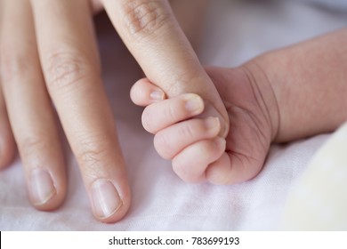 Baby Uses His Small Fingers To Hold His Mother's Finger To Make Him Feel Love, Warm And Secure.