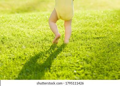 Baby walking barefoot on fresh, green grass in sunny summer evening. Back view. Closeup. - Powered by Shutterstock