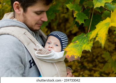 Baby Walking In Baby Carrier With His Dad. Kid In Focus.