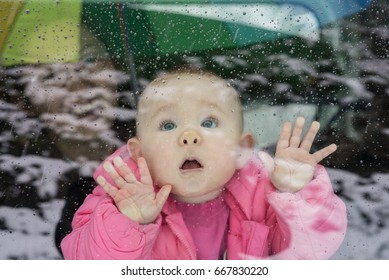 Baby Watching Through The Car's Window At Rain Drops With Nose Pressed Against The Glass