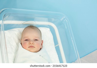 Baby Woke Up In Small Transparent Portable Plastic Bed. Baby  Is Lying In A Hospital Crib.