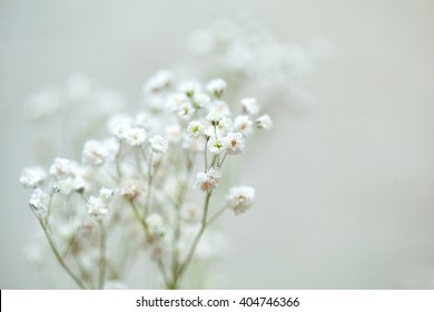 Kachim Images, Stock Photos & Vectors | Shutterstock