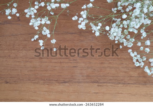 Babys Breath Gypsophilia Paniculata On Wooden Stock Photo (Edit Now ...