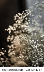 Baby's breath is known for its tiny delicate flowers which bloom in late spring through the summer.