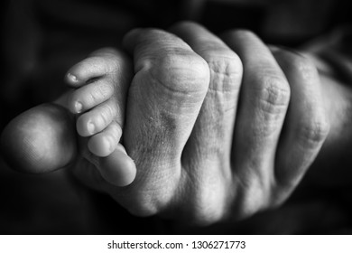 Babys Feet Daddys Hands Stock Photo 1306271773 | Shutterstock