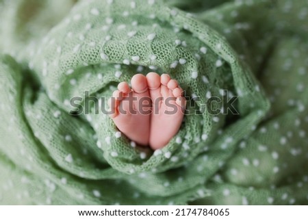 Baby`s feet wrapped in a warm green soft blanket, newborn baby`s feet