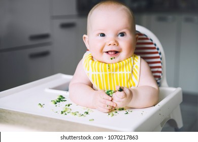 Baby's First Solid Food. Messy Smiling Baby Eats And Tastes With Fingers Vegetables Broccoli In High Chair. Healthy Child Nutrition. Mother Gives To Try Foods To Feed Little Child 7 Months Old