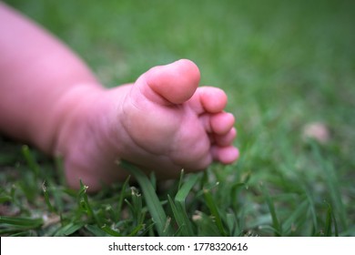 Baby's foot on the grass