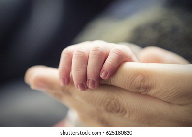 baby's hand