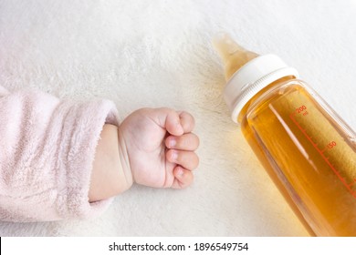 Baby's hand and baby bottle with barley tea (0 years old, 6 months old, girl, Japanese)