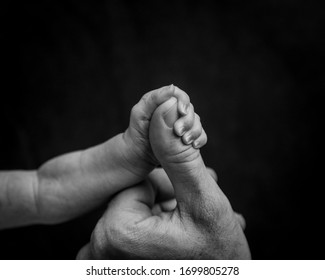 A baby's hand holding a fathers thumb. A newborn baby's grip on their parents hand. - Shutterstock ID 1699805278