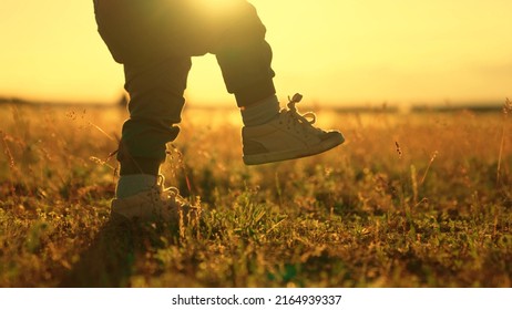 Babys Legs Are Walking On Grass In Park At Sunset. Cute Baby Walks With Mom On Lawn In Sun. Baby Learns To Walk With Dad, Holding Boys Hand. Mother Supports Child Taking First Steps In Park, Holding