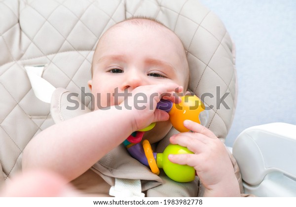 Babys Milk Teeth Erupting Gums Itch Stock Photo 1983982778 | Shutterstock