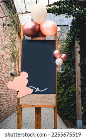 Babyshower, gender reveal, girl baby party template. - Shutterstock ID 2255675519