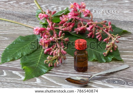 bach flower drops in a glassbottle with red chestnut blooms