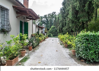 Back Alley Of A Winery In Tuscany, Italy. Rows Of Terra Cotta Pots Along The Tuscan Style Home. 