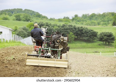 The back of an Amish man cultivating his hilltop field in the springtime with a cultivator and a pair of horses.