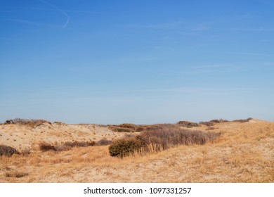 Back Bay National Wildlife Refuge, Virginia Beach, Virginia, USA