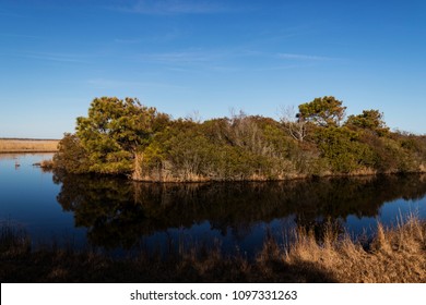 Back Bay National Wildlife Refuge, Virginia Beach, Virginia, USA