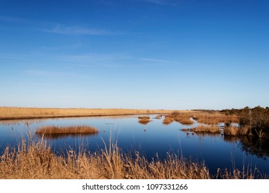 Back Bay National Wildlife Refuge, Virginia Beach, Virginia, USA