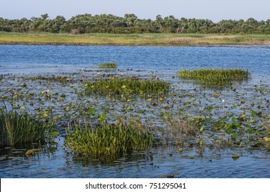 Back Bay National Wildlife Refuge 