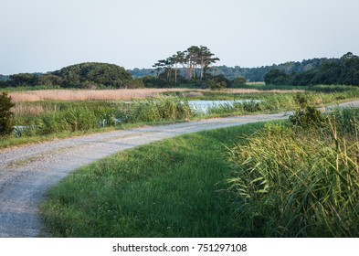 Back Bay National Wildlife Refuge 