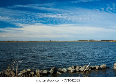 Back Bay National Wildlife Refuge, Virginia, USA