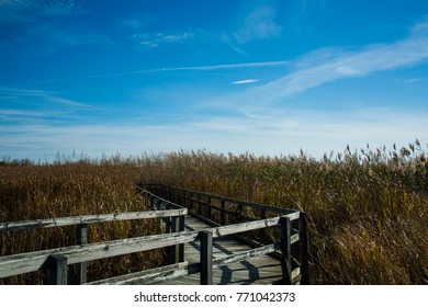 Back Bay National Wildlife Refuge, Virginia, USA