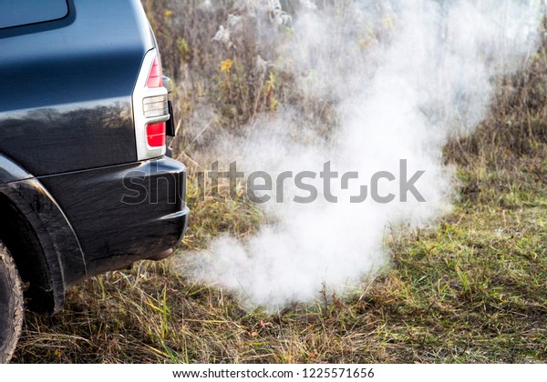 The back of the black car with the\
emission of smoke from the exhaust pipe on the background of\
nature. The concept of environmental pollution by\
vehicles.