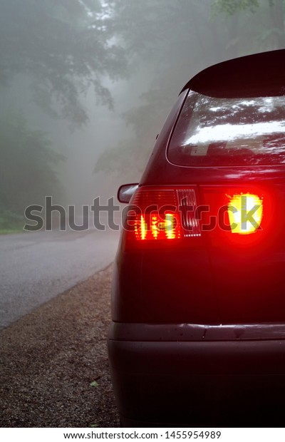 the back car\
light, rear fog and brake lights on the car on the early foggy.\
morning. bad conditions for\
driving