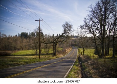 A back country road outside of Beaverton, Oregon outlined with leafless winter trees and green grass.