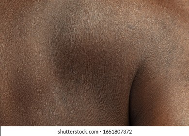 Back. Detailed texture of human skin. Close up shot of young african-american male body. Skincare, bodycare, healthcare, hygiene and medicine concept. Looks beauty and well-kept. Dermatology.