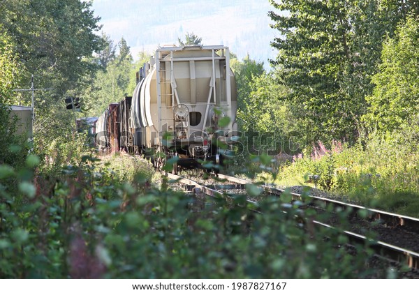 The
back end of a train as it goes through a wooded
area