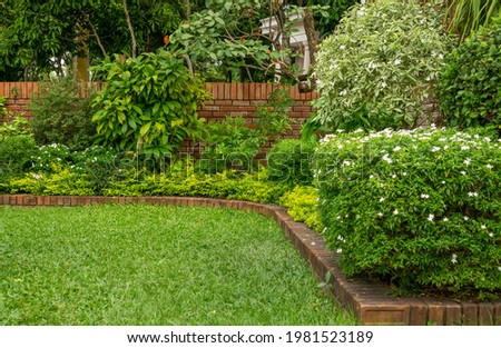 Similar – Image, Stock Photo Blooming evergreen in front of a brick wall