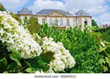 Back Garden Of Musee De Rodin In Paris France