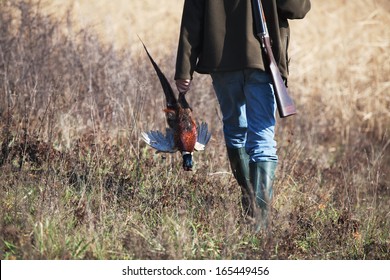 Back Of Going Hunter With Killed Pheasant In Hunter? Hand 