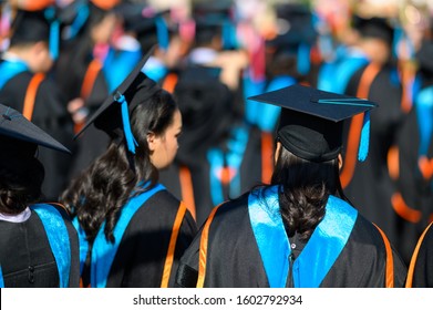 Back Graduates Walking Attend Graduation Ceremony Stock Photo ...