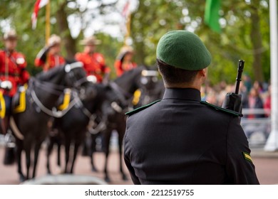 Back Of Head Of British Army Soldier Wearing Green Beret And Lining The Parade Route In London