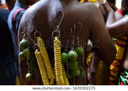 The back of Hindu devotee. Pierced metal hooks with limes hanging on them. Ceremonial sacrifice while celebrate Hindu festival of Thaipusam, Batu Caves, Malaysia. Low light, selective focus.