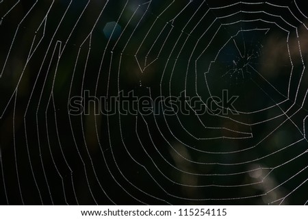 Similar – Image, Stock Photo Around the world in 30 days