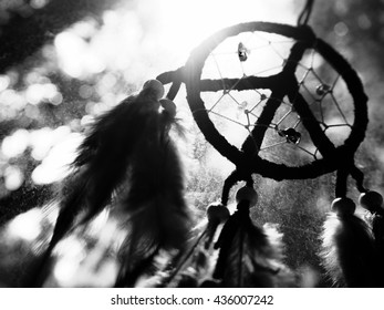 Back Lit : Dream Catcher Abstract In Black And White