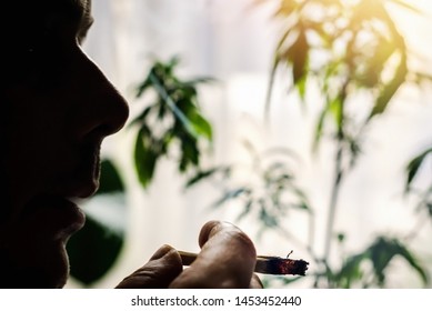 Back Lit Silhouette Of Young Millennial Smoking Marijuana Joint